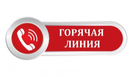 «Горячая линия» по вопросам детского отдыха.