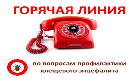 "Горячая линия" по профилактике клещевого энцефалита