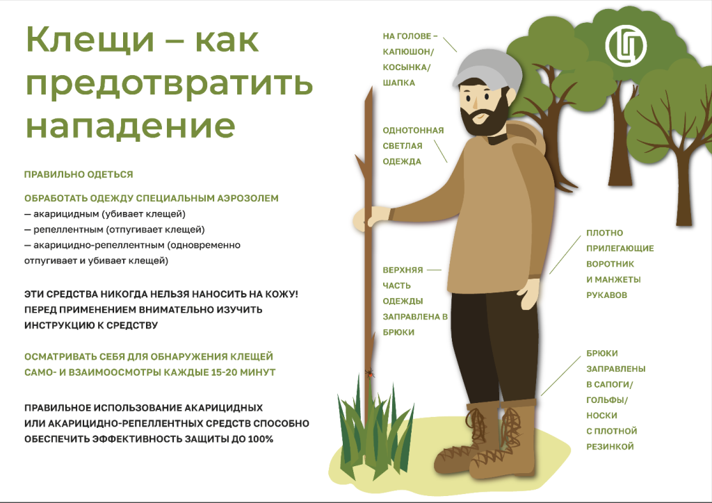Клещи.png