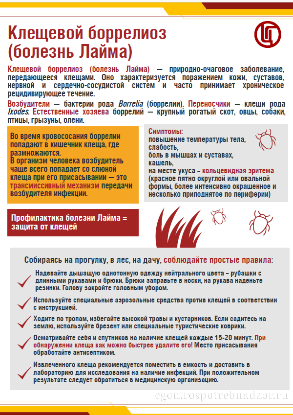 2026-06-18_16-04-31.png