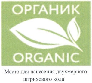 эко ё1.jpg