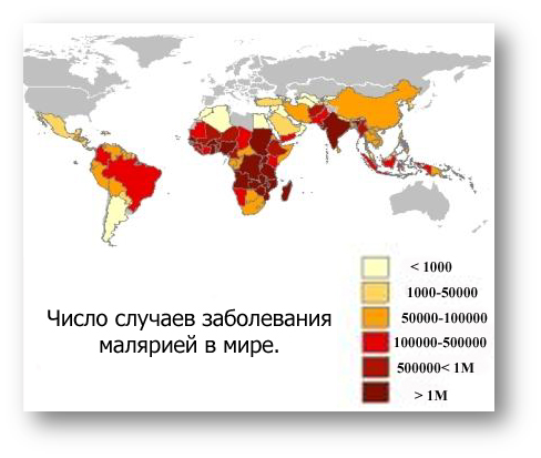 Подраздел 2.1: Лекарственная терапия