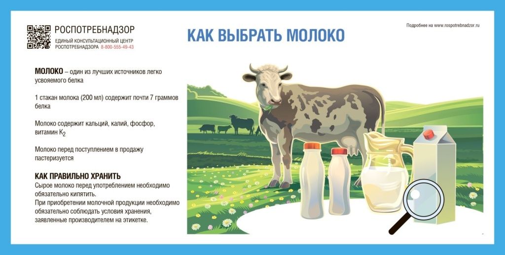МОЛОКО памятка.jpg