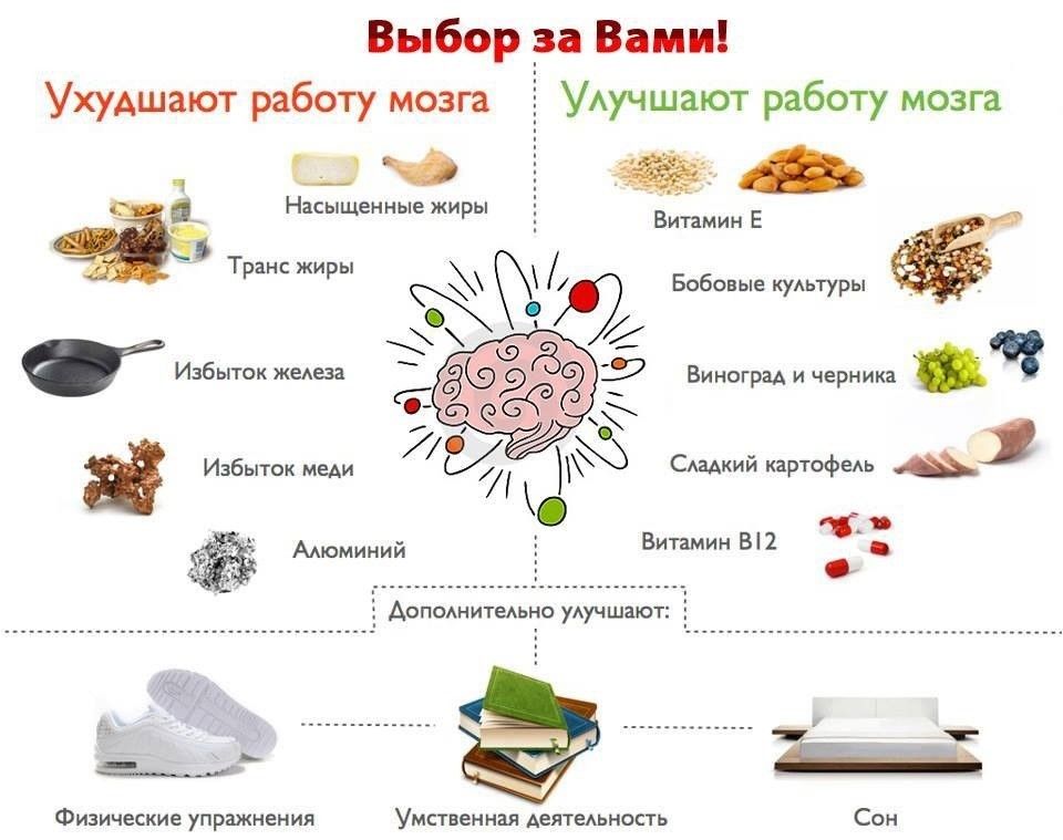 выбор еды.jpg