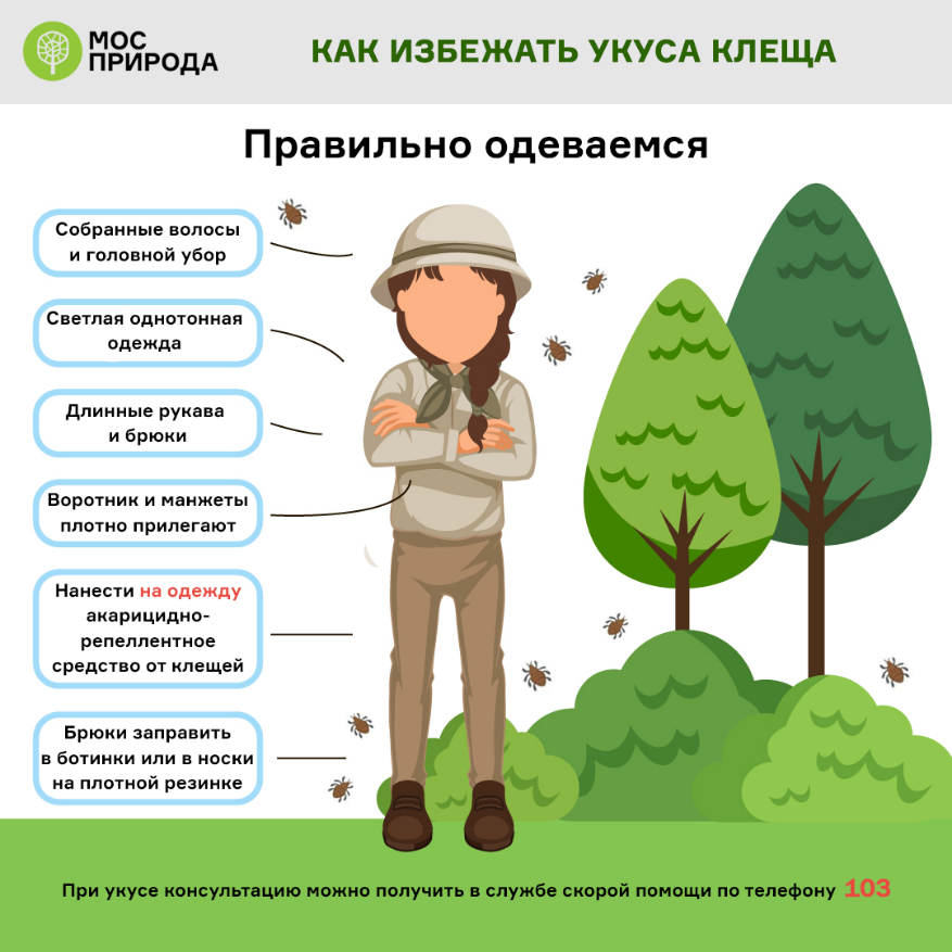 одежда.png