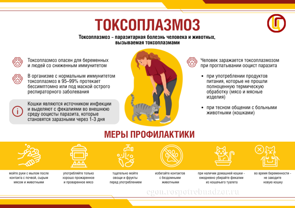 Токсоплазмоз.png