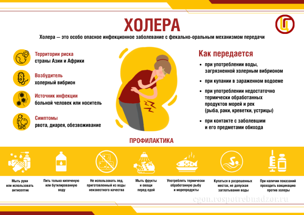 Холера.png