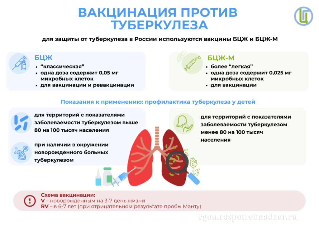 3. Вакцинация против туберкулеза.png