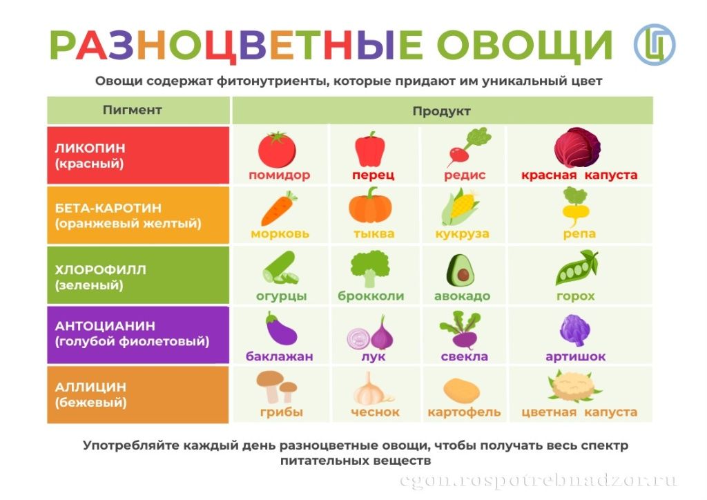 Овощи фрукты.jpg