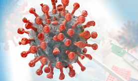 Профилактика гриппа и коронавирусной инфекции, вызванной SARS - CoV -2