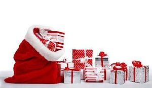 "Горячая линия" по вопросам качества и безопасности детских товаров, выбору новогодних подарков