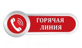 «Горячая линия» по вопросам детского отдыха.